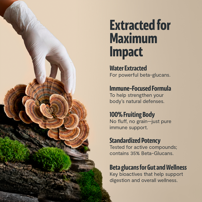 Organic Turkey Tail Mushroom Capsules