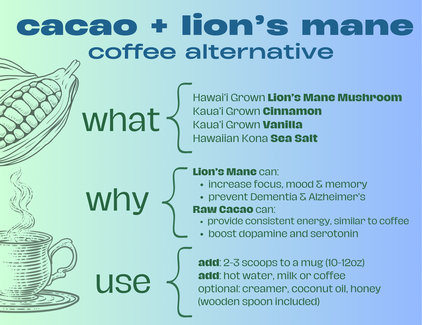 Lion's Mane Cacao (Energy)