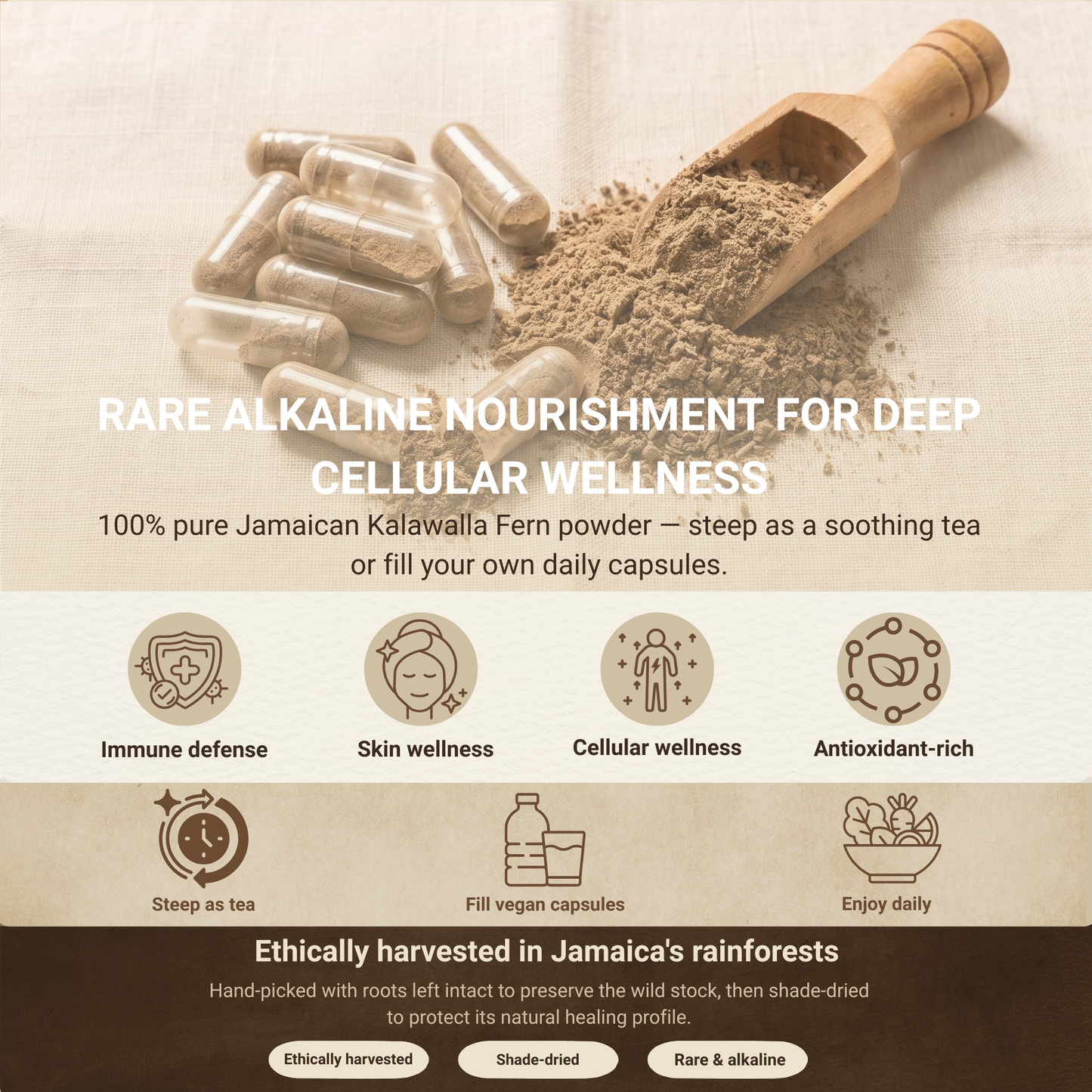 Jamaican Kalawalla Herb | Calaguala | Polypodium Sp. | 2 oz coarse powder