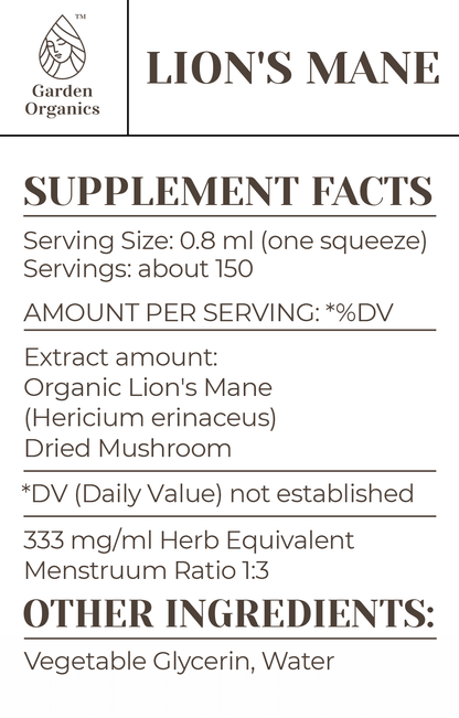 Lion's Mane Tincture