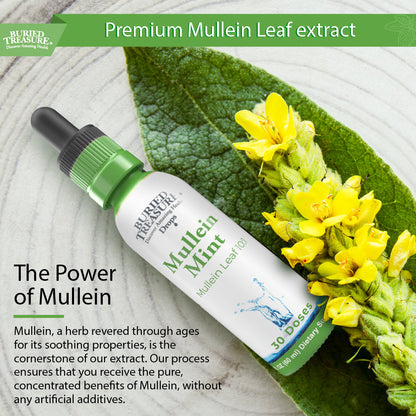 Buried Treasure Liquid Nutrients Mullein Drops with 200mg 10:1 Extract, Alcohol-Free Liquid Dietary Supplement