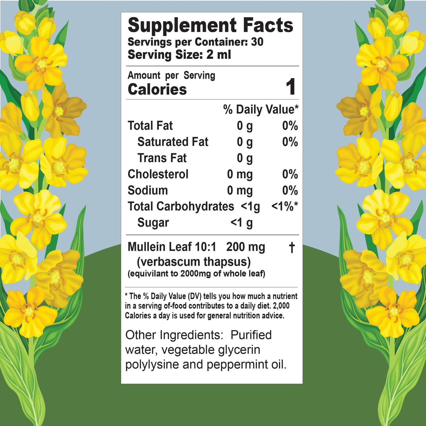 Buried Treasure Liquid Nutrients Mullein Drops with 200mg 10:1 Extract, Alcohol-Free Liquid Dietary Supplement
