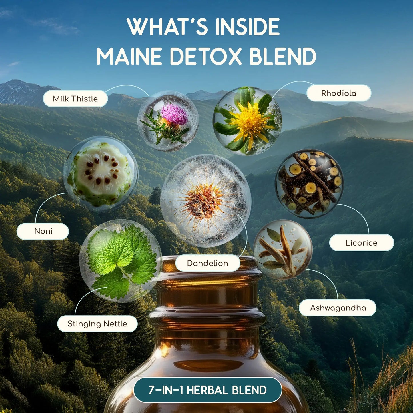 Maine Detox Blend