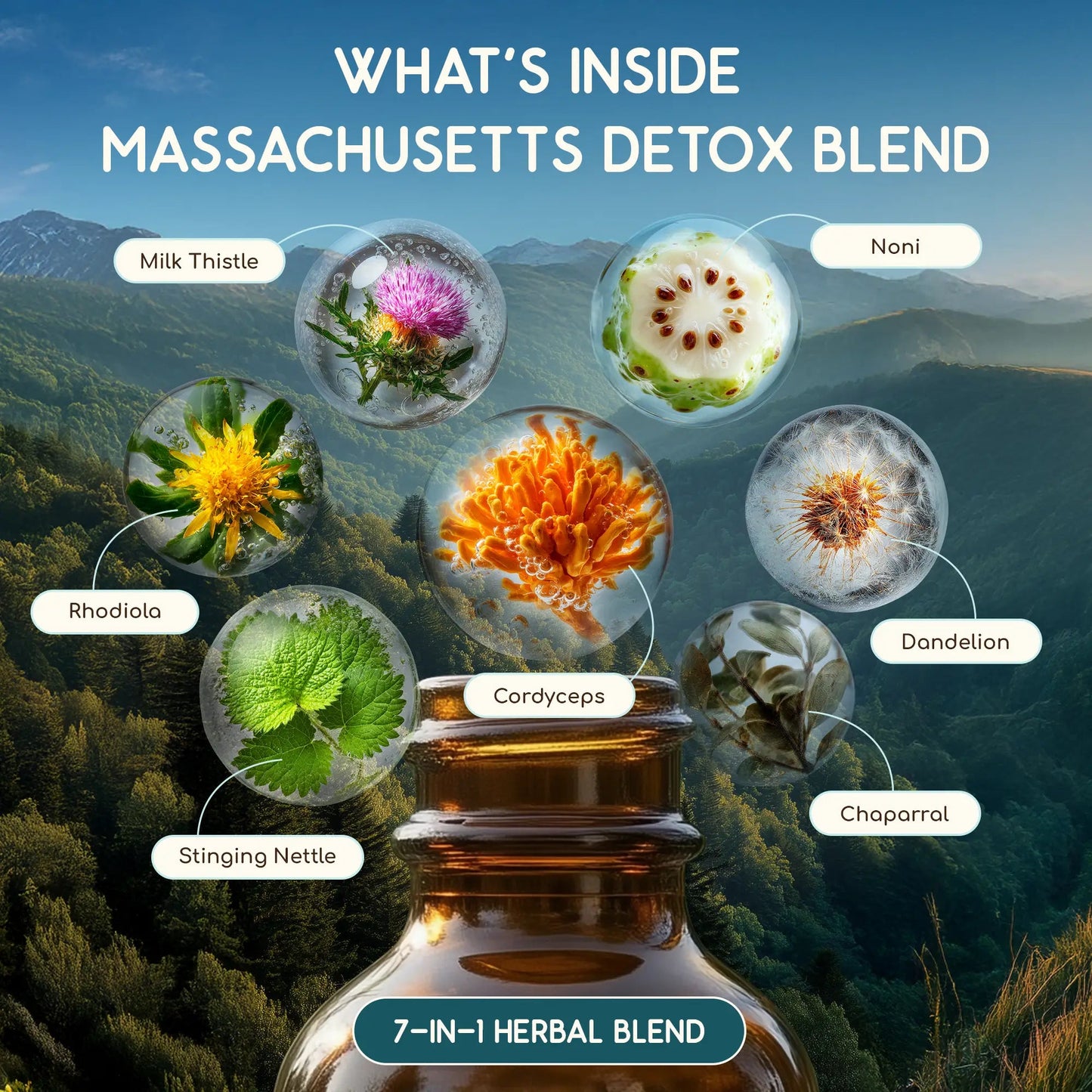 Massachusetts Detox Blend