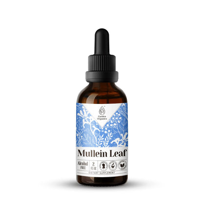 Mullein Leaf Tincture