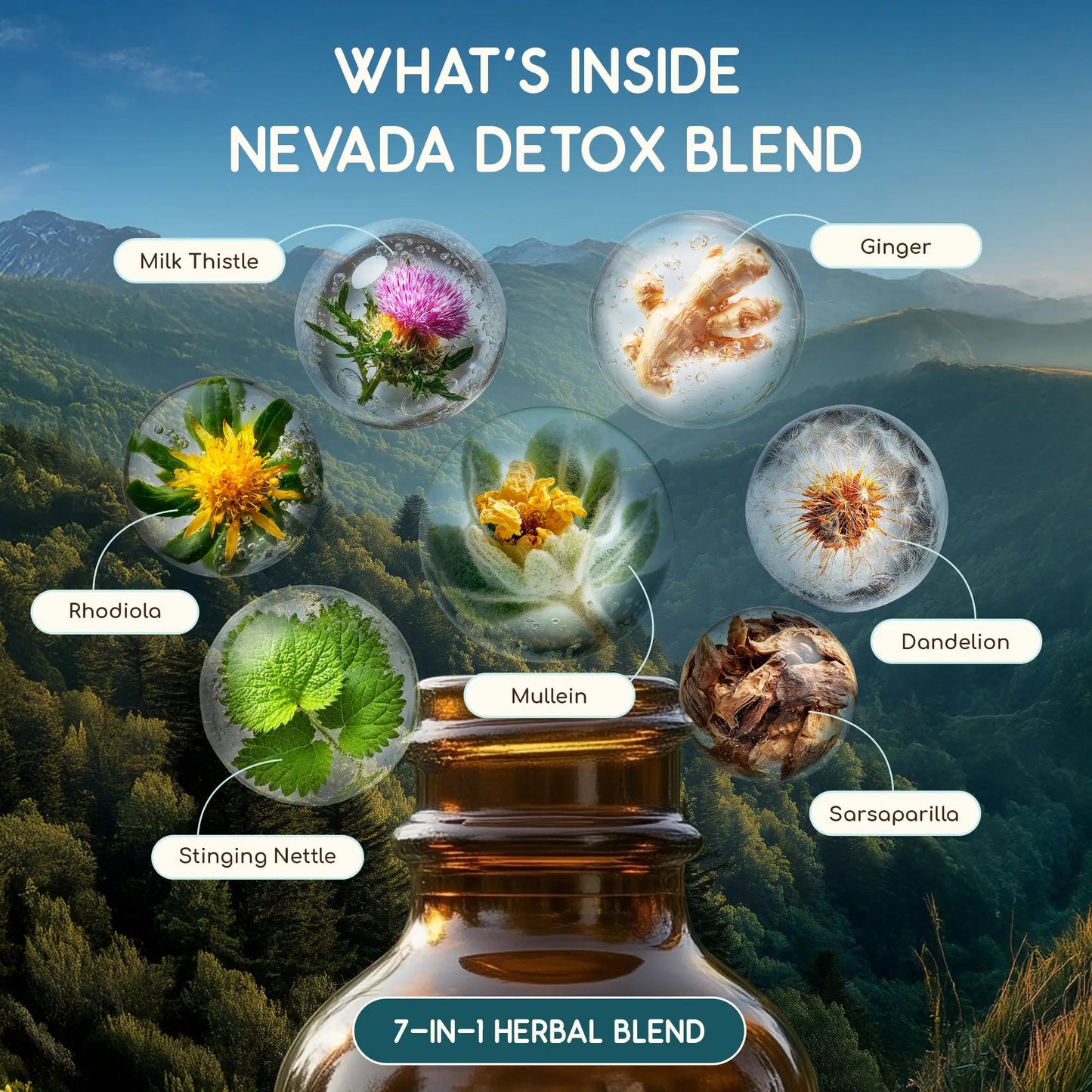 Nevada Detox Blend