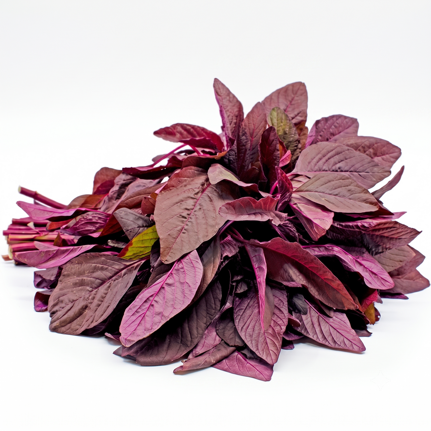 Purple Amaranth Leaf Powder