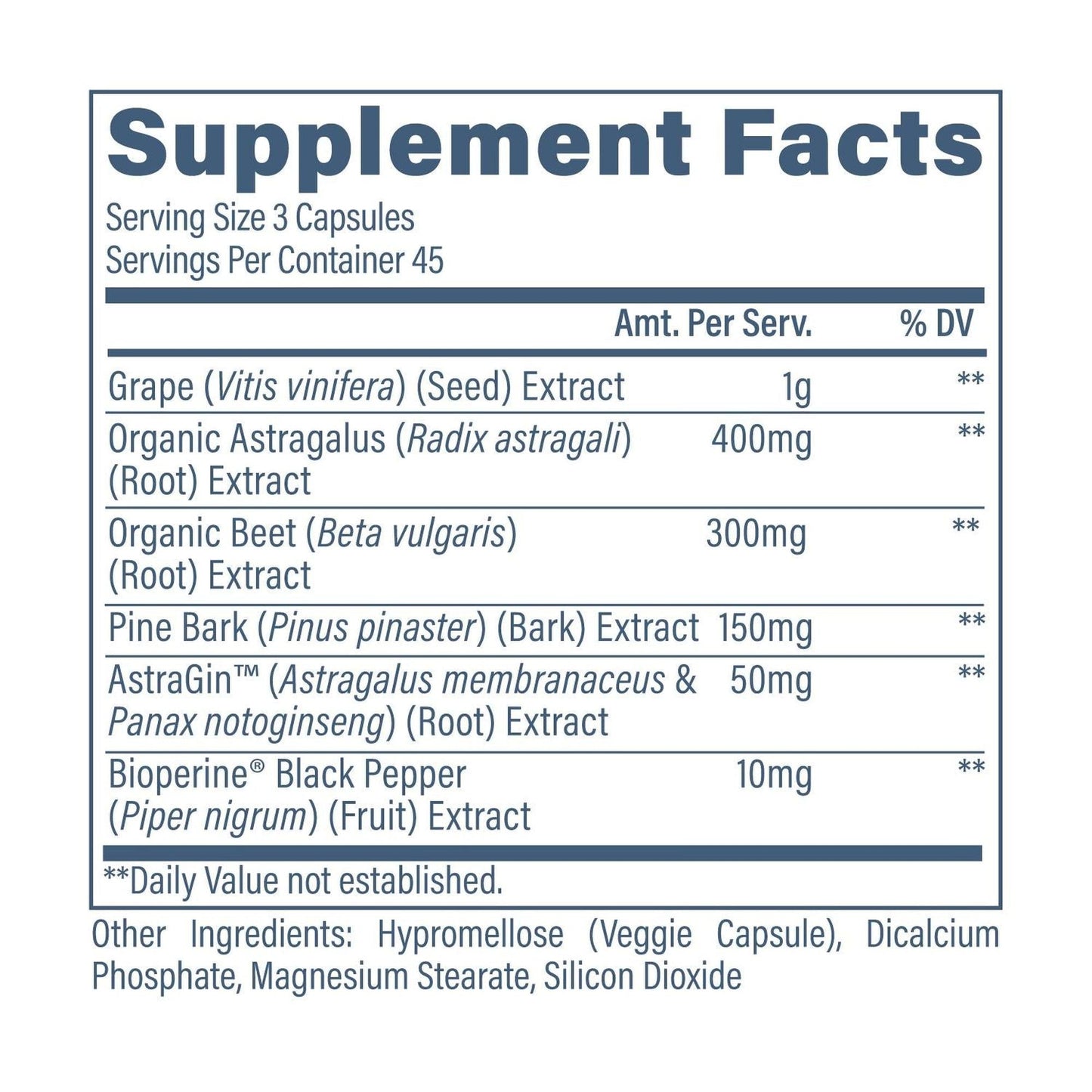 Revive Kidney Support Supplement
