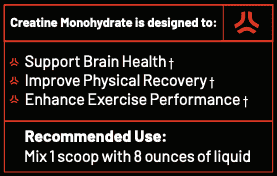 Creatine Monohydrate (45 Single-Serve Stick Packs)