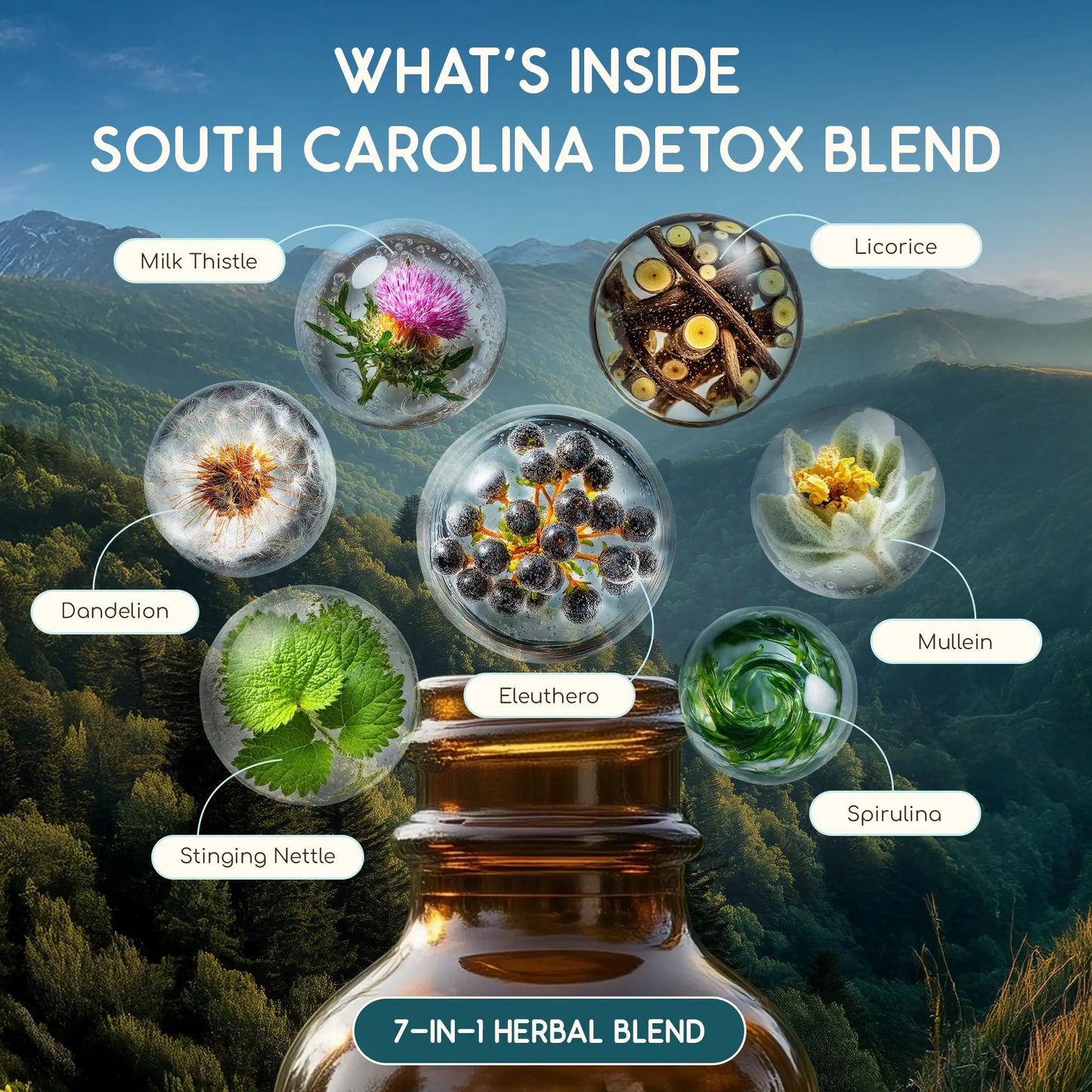 South Carolina Detox Blend
