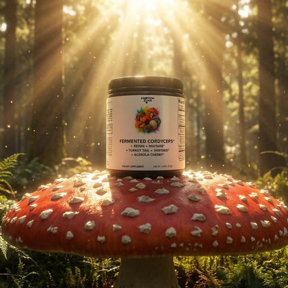 Fermented Mushroom Complex | Organic 7-Mushroom Immunity Blend