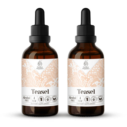 Teasel Tincture