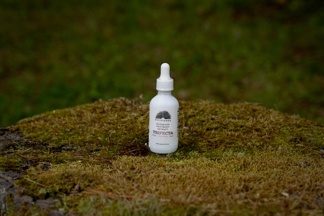 Organic Trifecta Blend Mushroom Tincture 2oz.