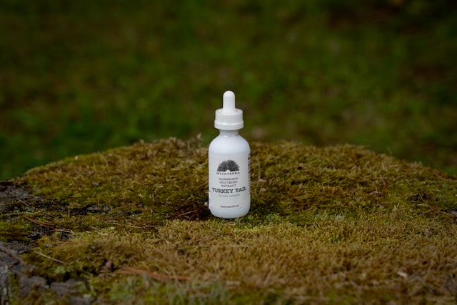 Organic Turkey Tail Mushroom Tincture 2oz.
