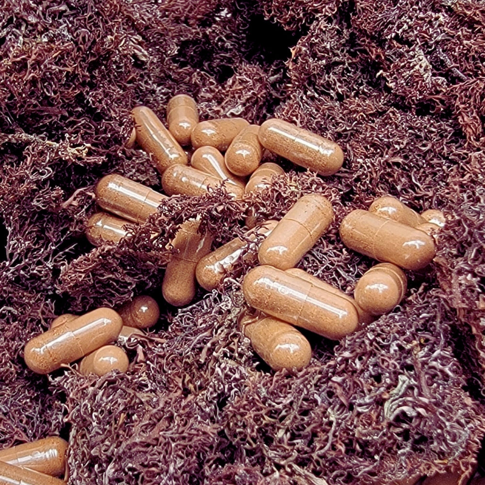Jamaican Purple Sea Moss Capsules | 60 Vegan Capsules