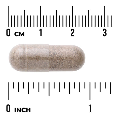 Valerian Root Extract - Standardized
