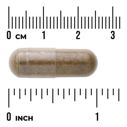 Full Spectrum Damiana
