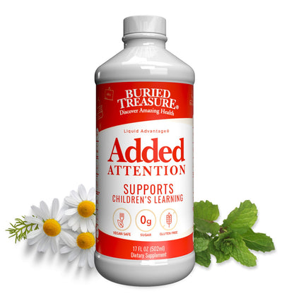 Added Attention – Liquid Supplement for Kids with DHA, B Vitamins & Phospholipids | Brain-Friendly Nutrients in a Natural Raspberry Flavor | 16 oz