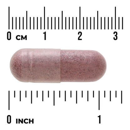 Aronia Black Chokeberry Fruit