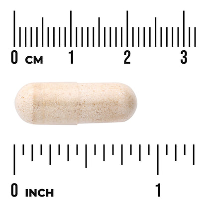 Pygeum - Standardized Extract