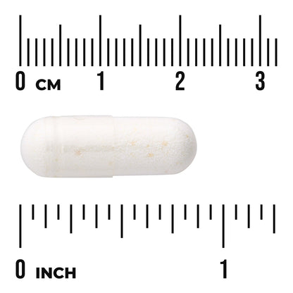 Lactobacillus Acidophilus