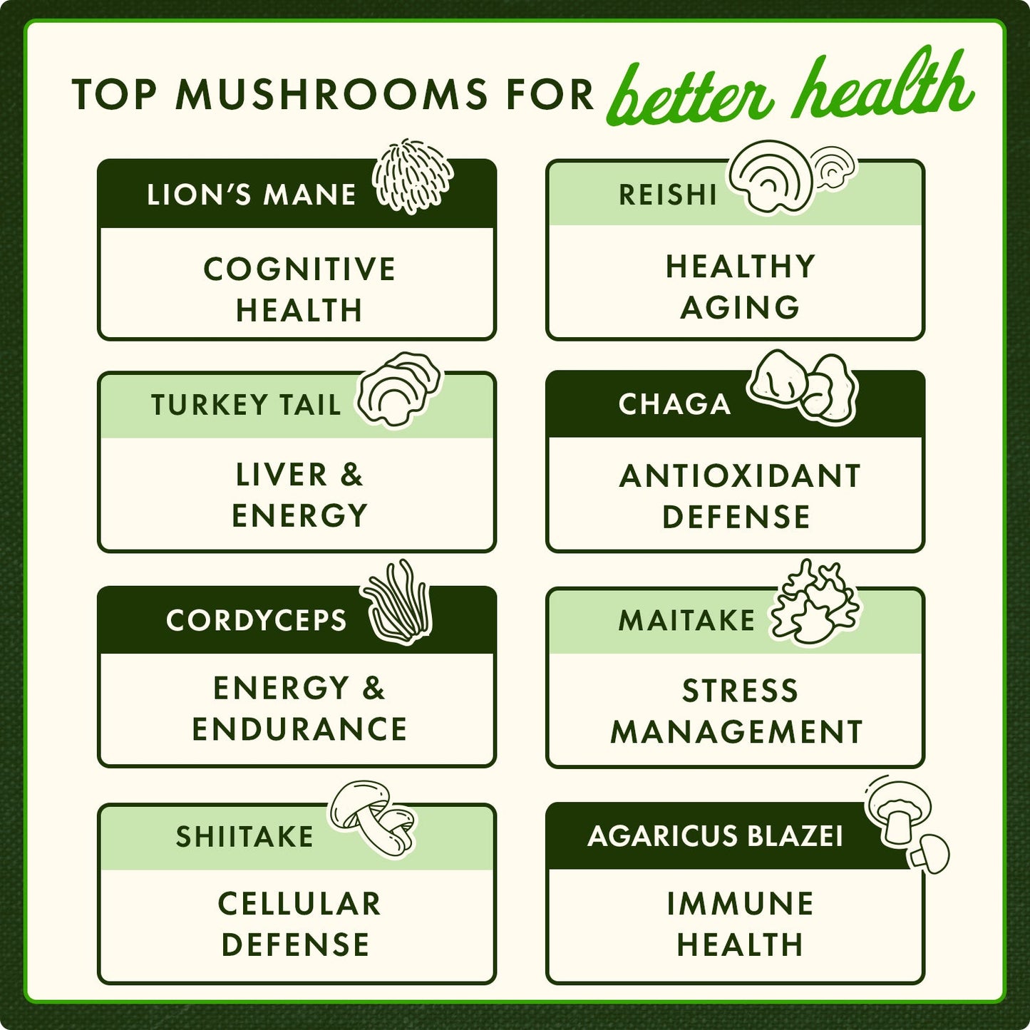 Shiitake Mushroom Extract