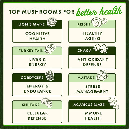 Shiitake Mushroom Extract