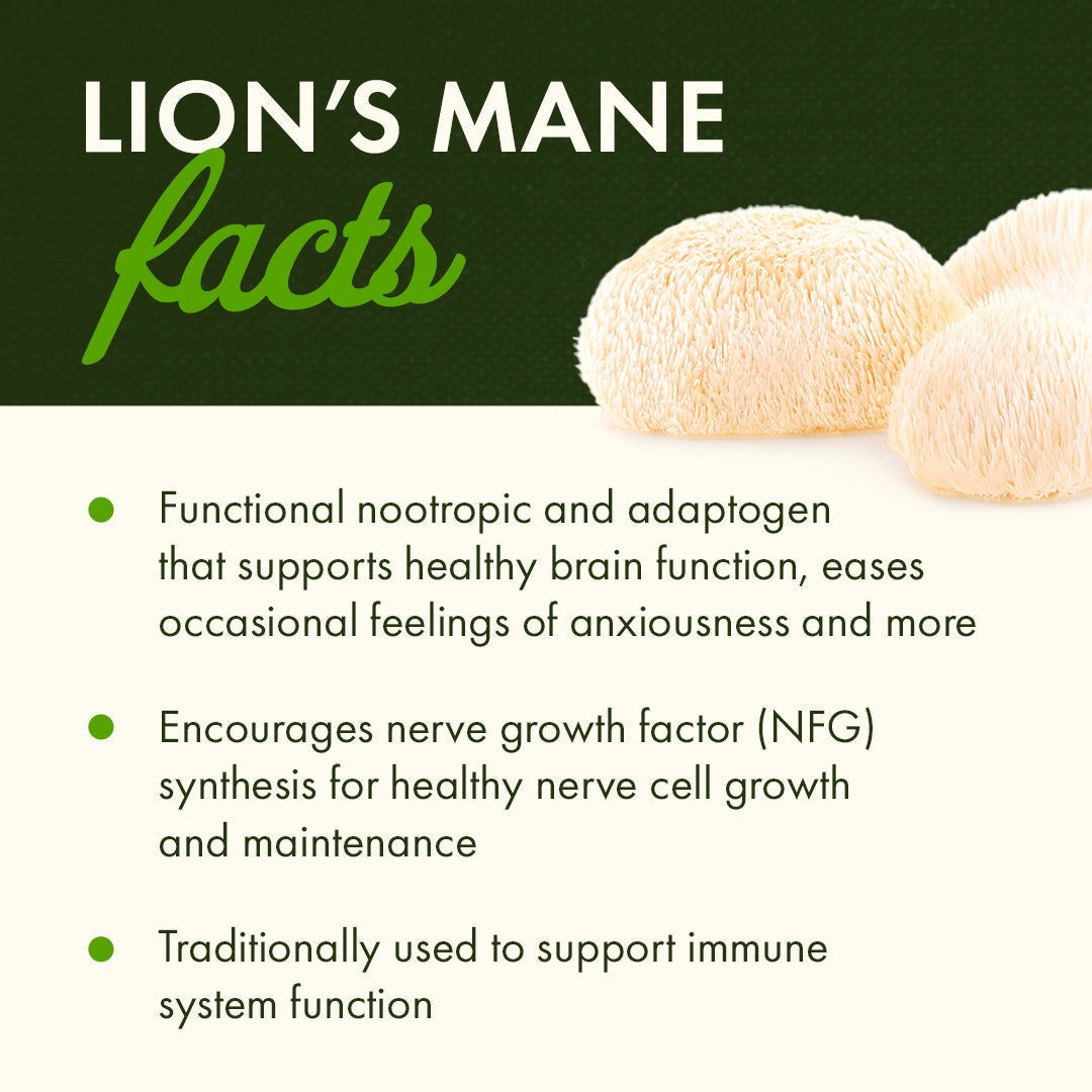 Organic Lion's Mane Mushroom