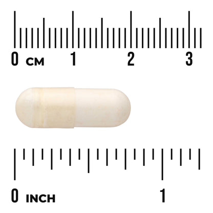 L. Plantarum Probiotic