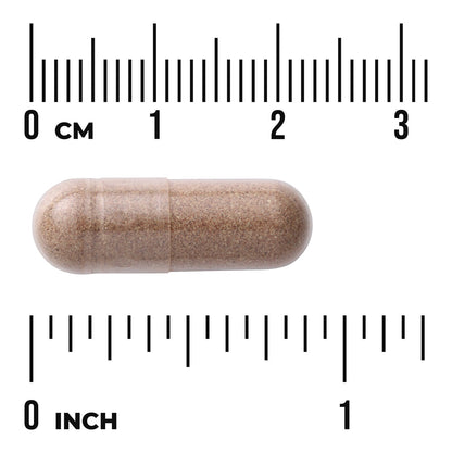 Full Spectrum Saw Palmetto