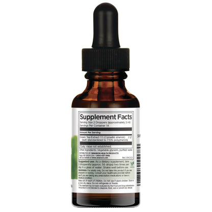 Green Tea Liquid Extract - Alcohol & Sugar Free