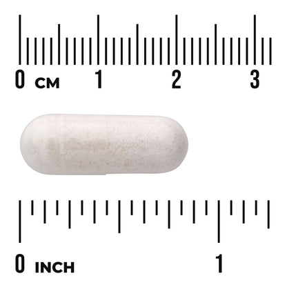 Betaine HCl Hydrochloric Acid with VegPeptase