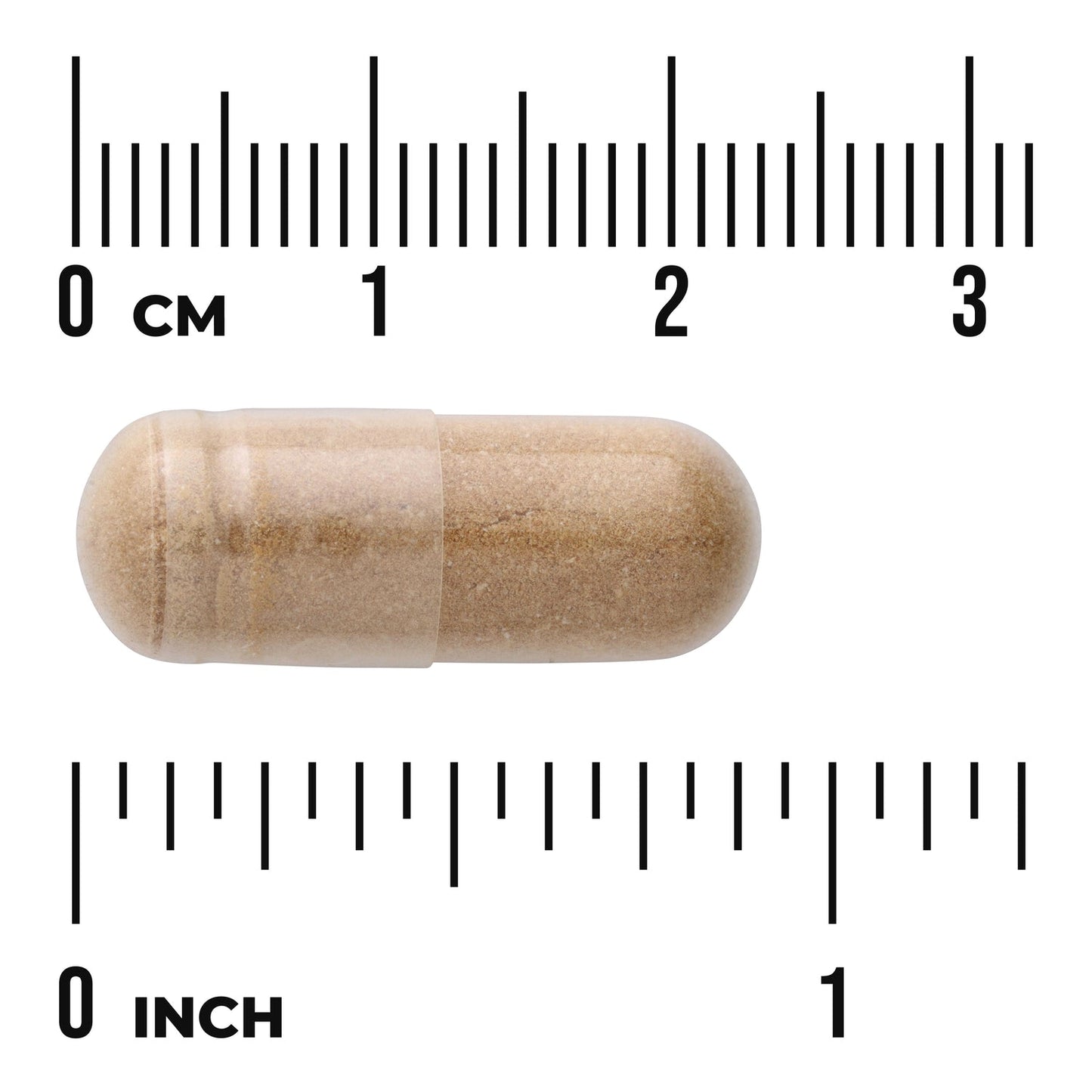 Reishi Mushroom Extract - Standardized