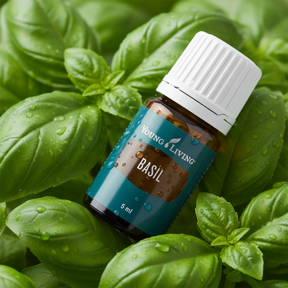 Young Living Basil Essential Oil 5ml Mental Clarity Focus & Natural Stress Relief