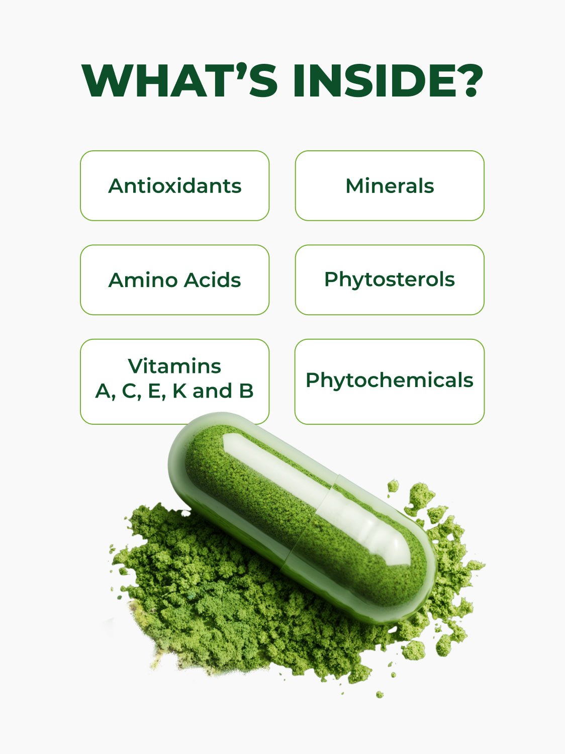 USDA Organic Moringa Capsules (120 Ct.)