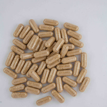 Iron Lion Capsules | Jamaican Roots Tonic Supplement with Sarsaparilla, Chaney Root (Cocolmeca), Strongback, Allman Strength